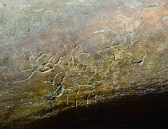 古代发饰鉴藏